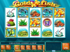 gold fish gokkast