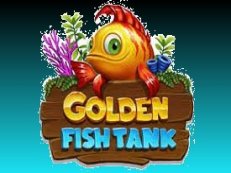 golden fish tank