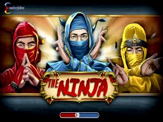 the ninja