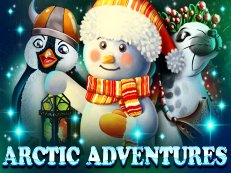 Arctic Adventures