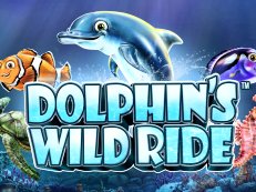 Dolphins Wild Ride gokkast