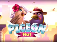 Pigeon Hut gokkast